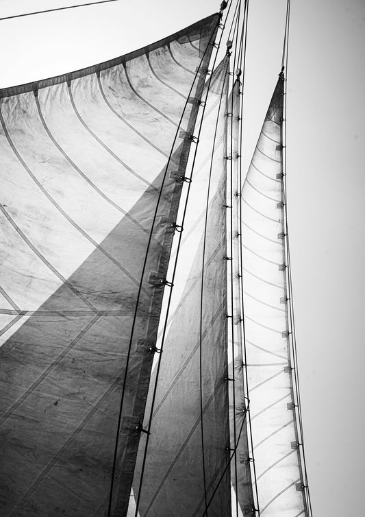 Monochrome Motion