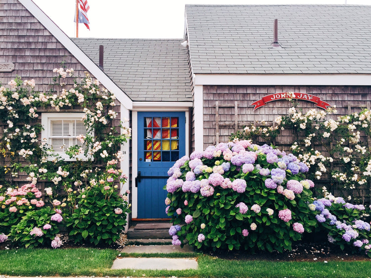 Nantucket Bloom House
