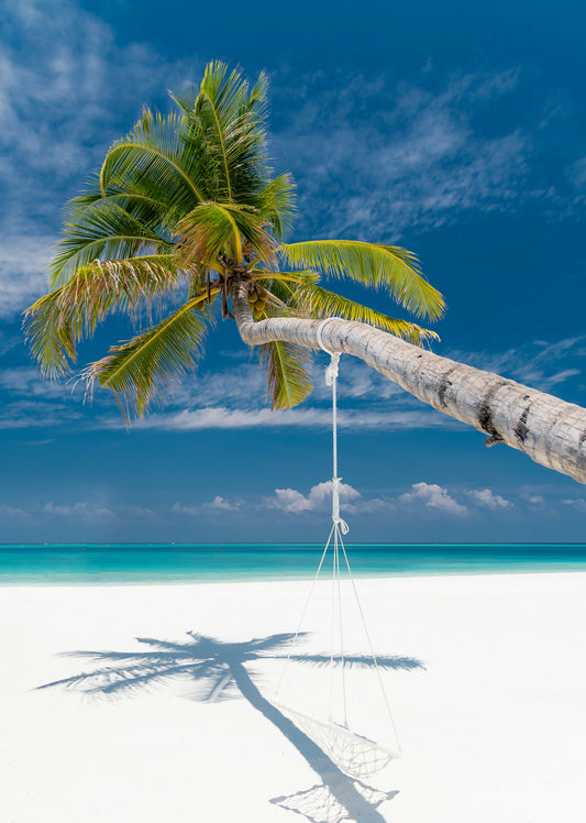 Palm Reverie, Maldives