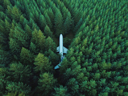 Boeing 727 in the Woods of Hillsboro, Oregon.