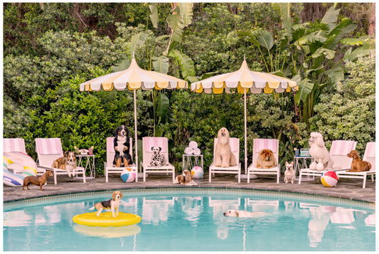 Pool Day at the Parker, Palm Springs.