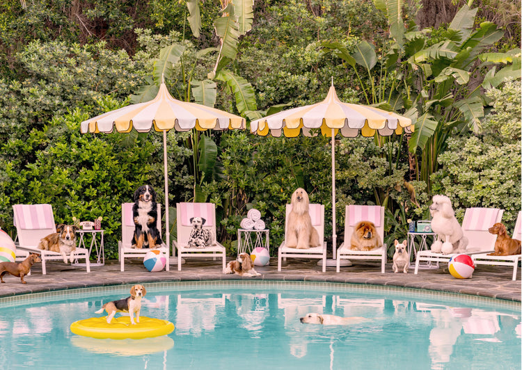 Pool Day at the Parker, Palm Springs.