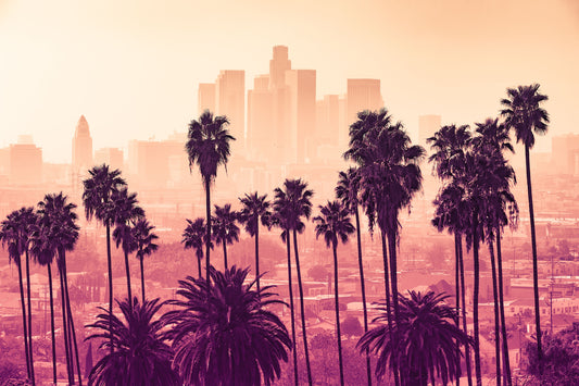 Retro LA Glow - Landscape