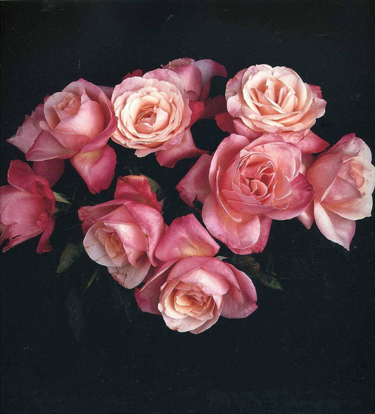Fleur de Rêve