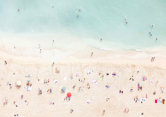Summer in Soft Focus