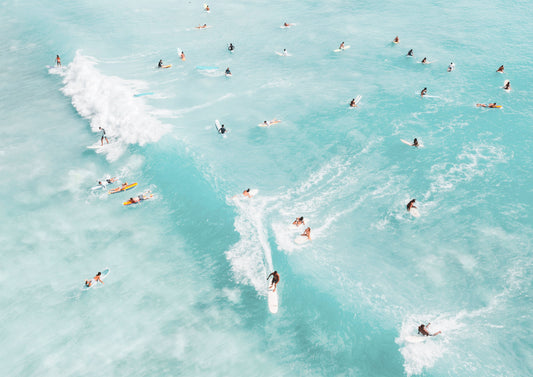 Ocean’s Playground