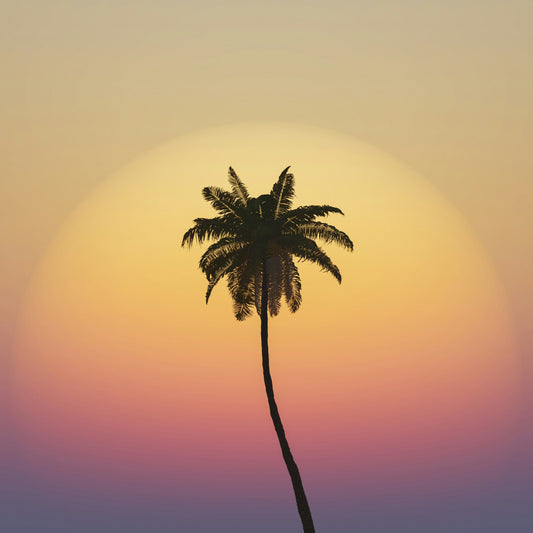 Sunset Cocktails
