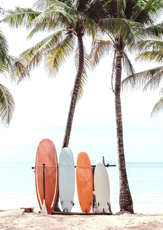 Palmside Rides