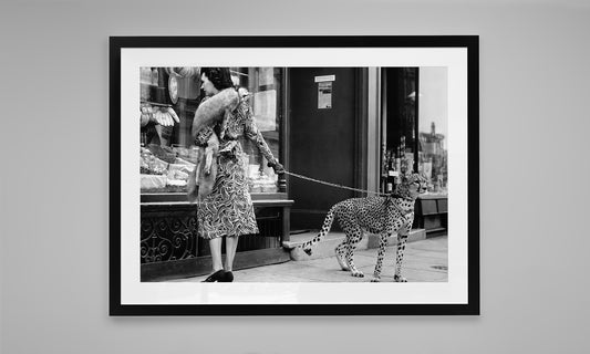 Take a Walk on the Wild Side