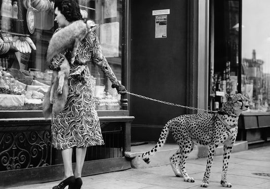 Take a Walk on the Wild Side