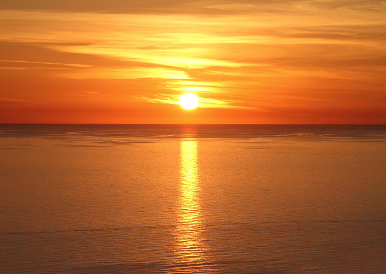 Tangerine Dreams