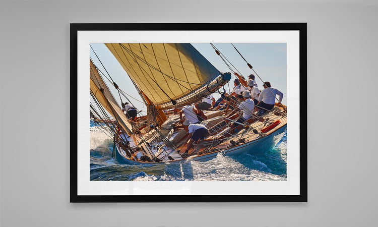 The Art of the Regatta