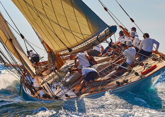 The Art of the Regatta