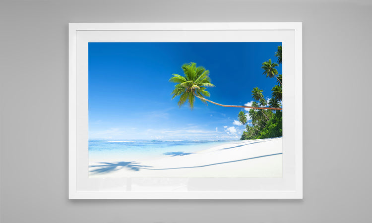 The Long Palm, Seychelles
