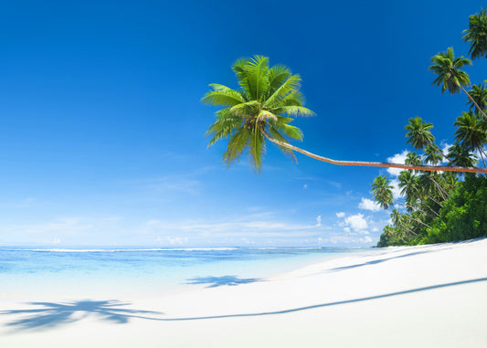 The Long Palm, Seychelles