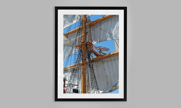 The Rigging