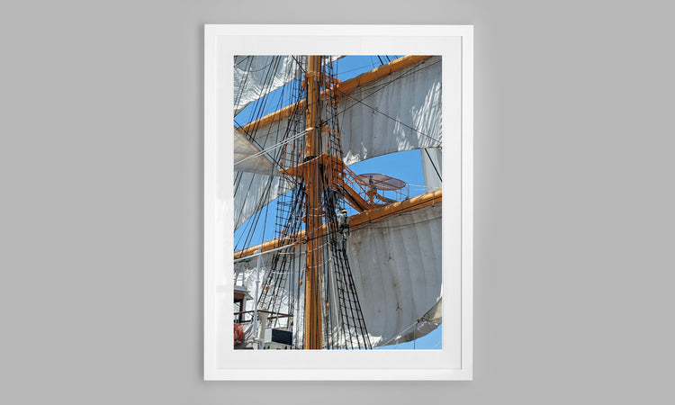 The Rigging