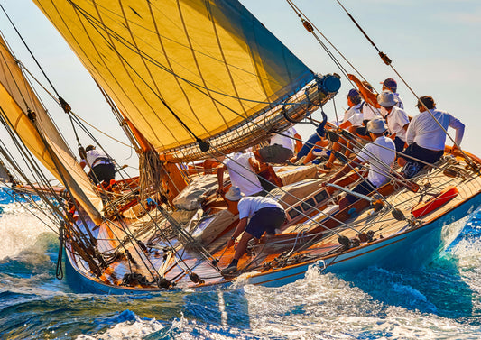 The Art of the Regatta