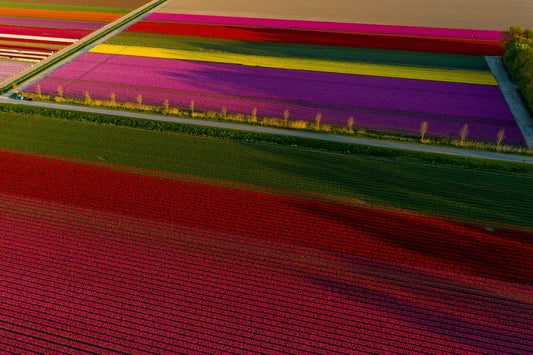 Floral Quilt