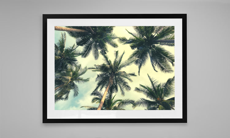 Under The Palms