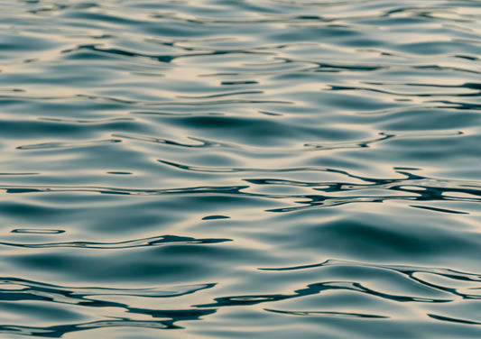 Ripple Effect