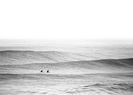 The Line Up